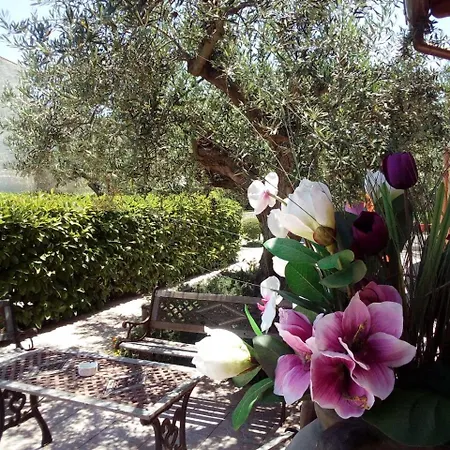 Ξενοδοχείο Plasi