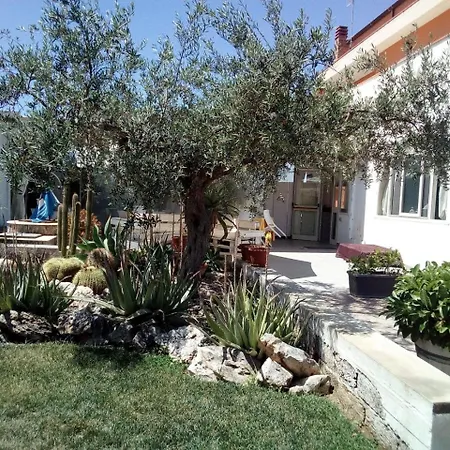 Plasi Menfi